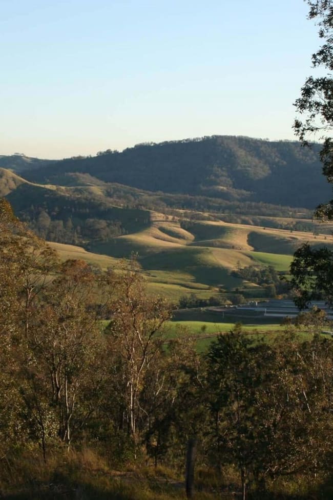 Lot 19 Paterson River Road Gresford NSW 2311