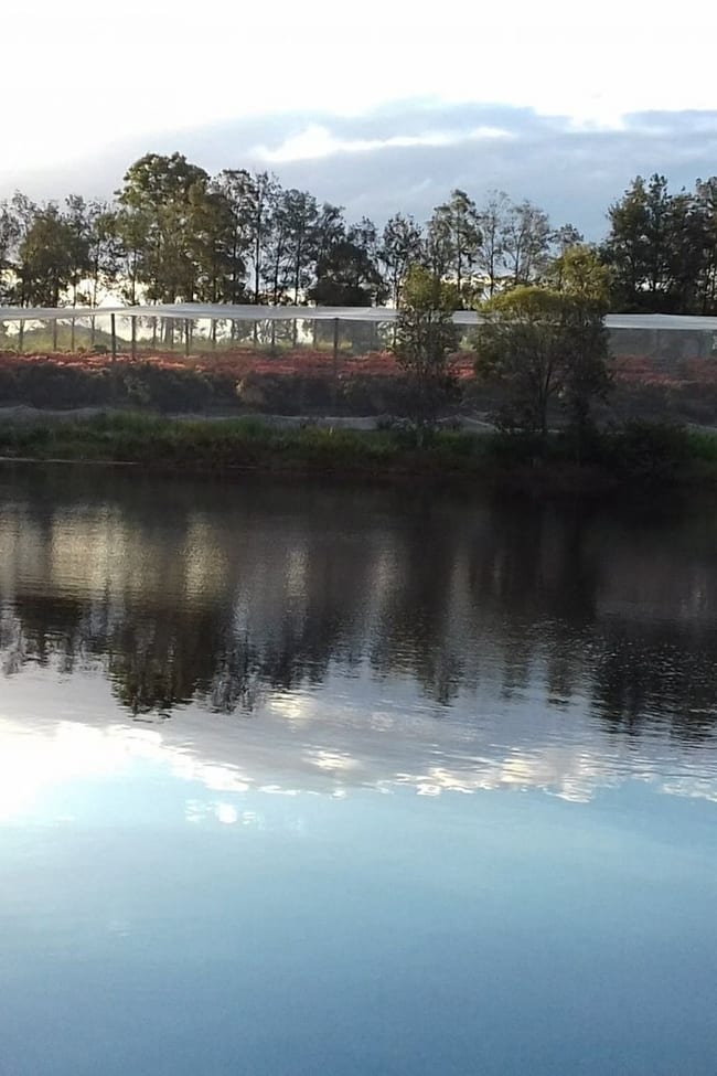 Goomboorian QLD 4570