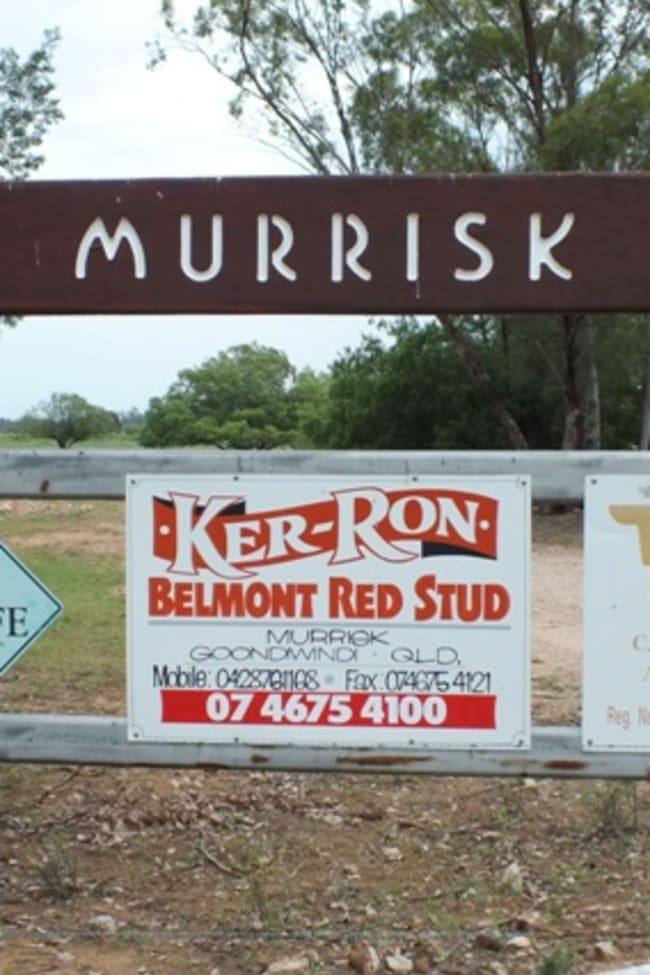 2151 Tenomby Road Goondiwindi QLD 4390 2151 Tenomby Road Goondiwindi QLD 4390