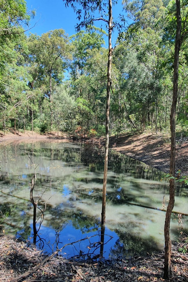 Williams Road Benarkin QLD 4314