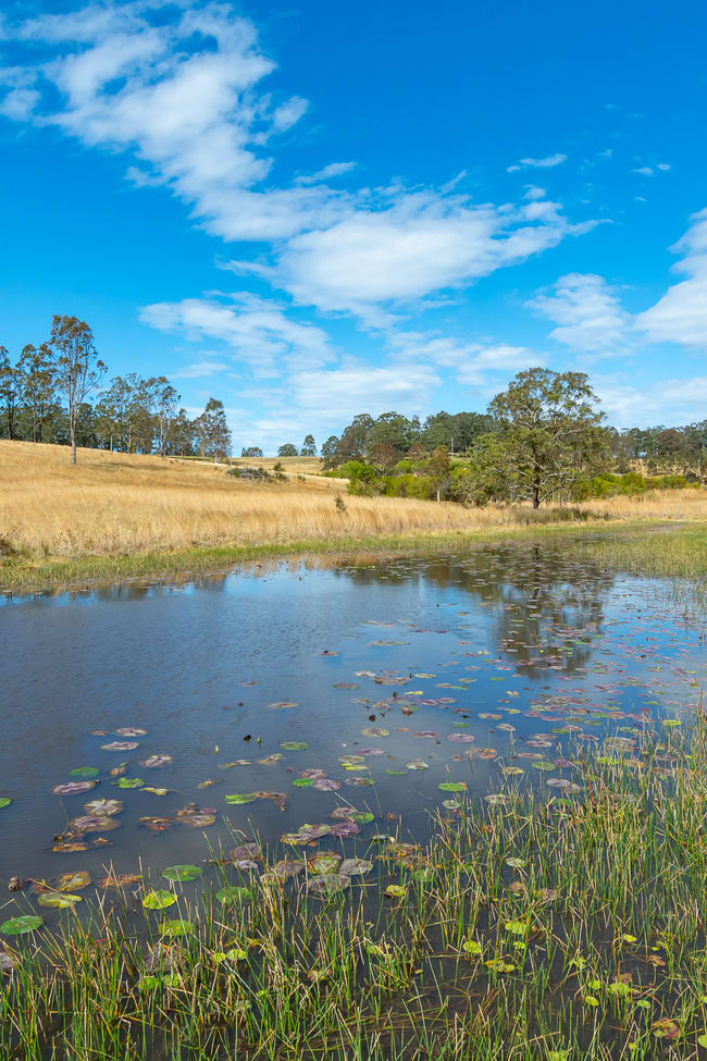 1802 Booral Road Girvan NSW 2425