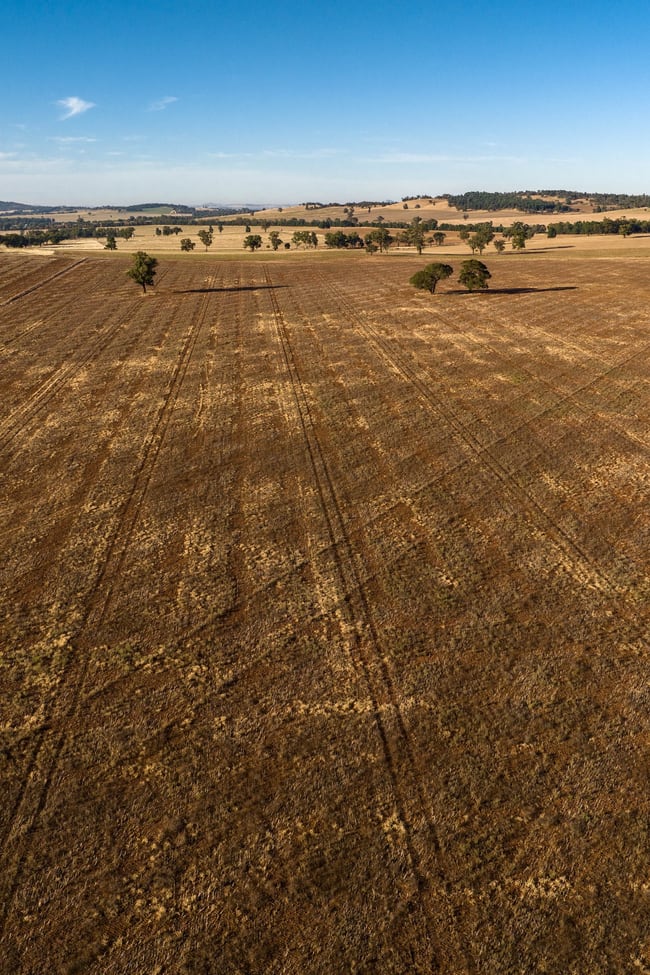 2204 Tooyal Road Coolamon NSW 2701