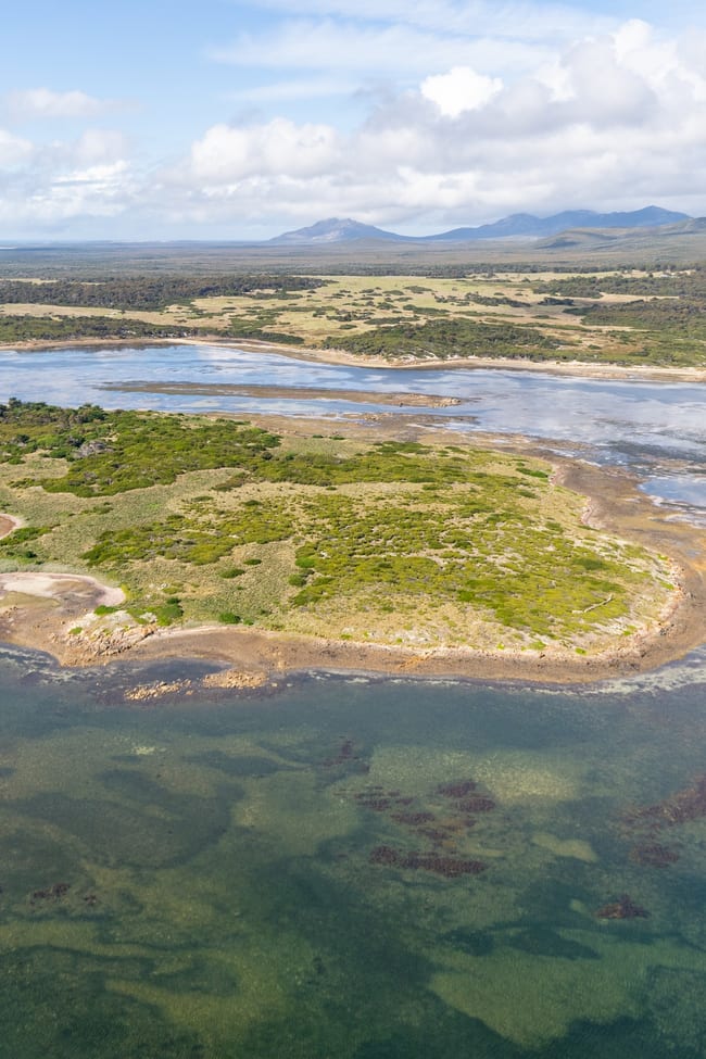 . Puncheon Island Lady Barron TAS 7255