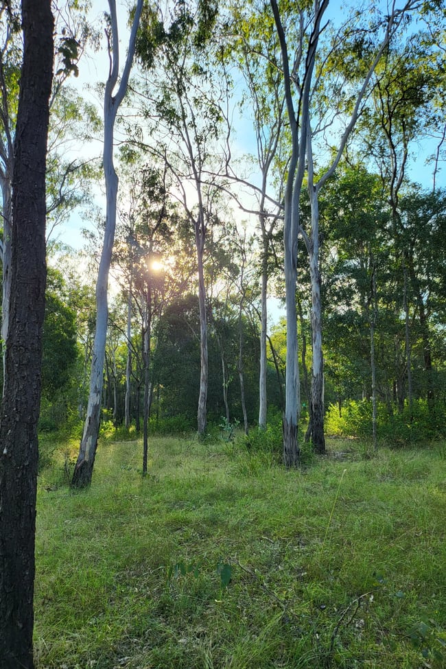244 Old Esk North Road South East Nanango QLD 4615