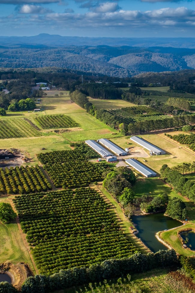 'Wyuna Farms' 982-988 George Downes Drive Kulnura NSW 2250