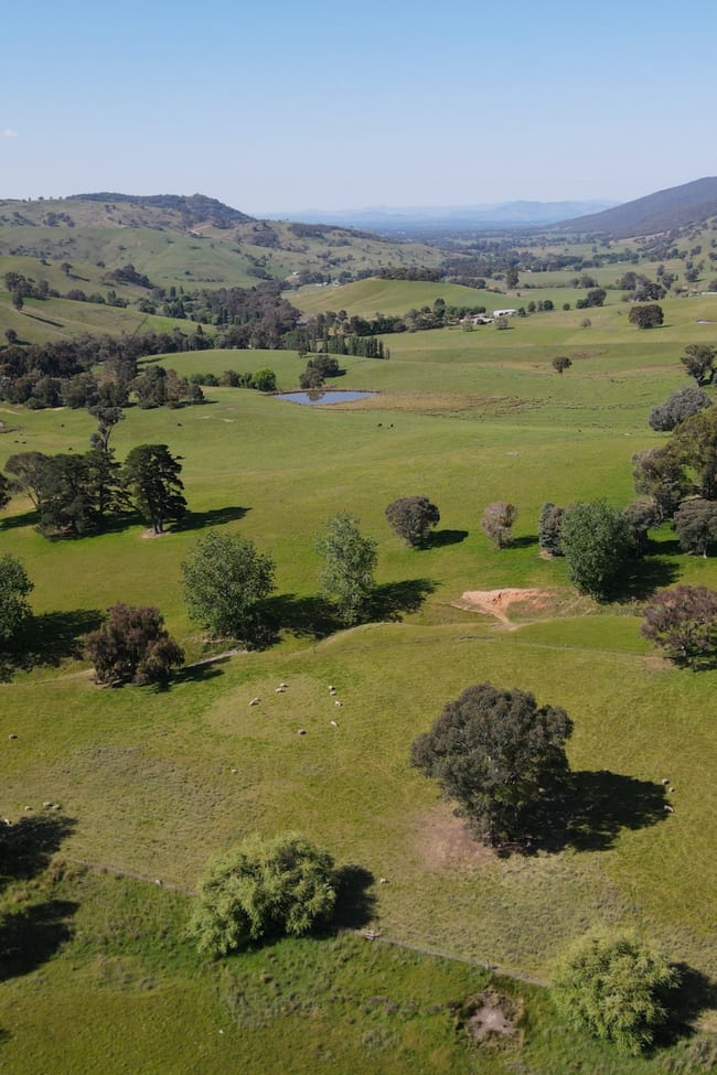 2288 Beechworth-Wodonga Road Leneva VIC 3691
