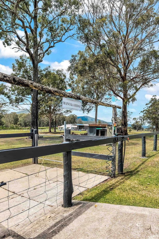 146 New Street Mulbring NSW 2323