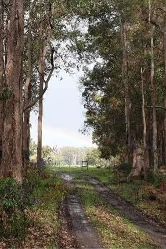Lot 106 Wetherall Road Quinninup WA 6258