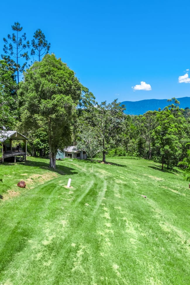 364 Byrrill Creek Road Byrrill Creek NSW 2484