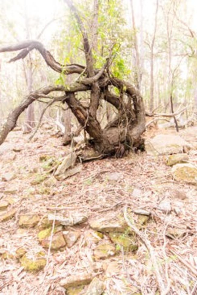 62 Una Road Bucketty NSW 2250