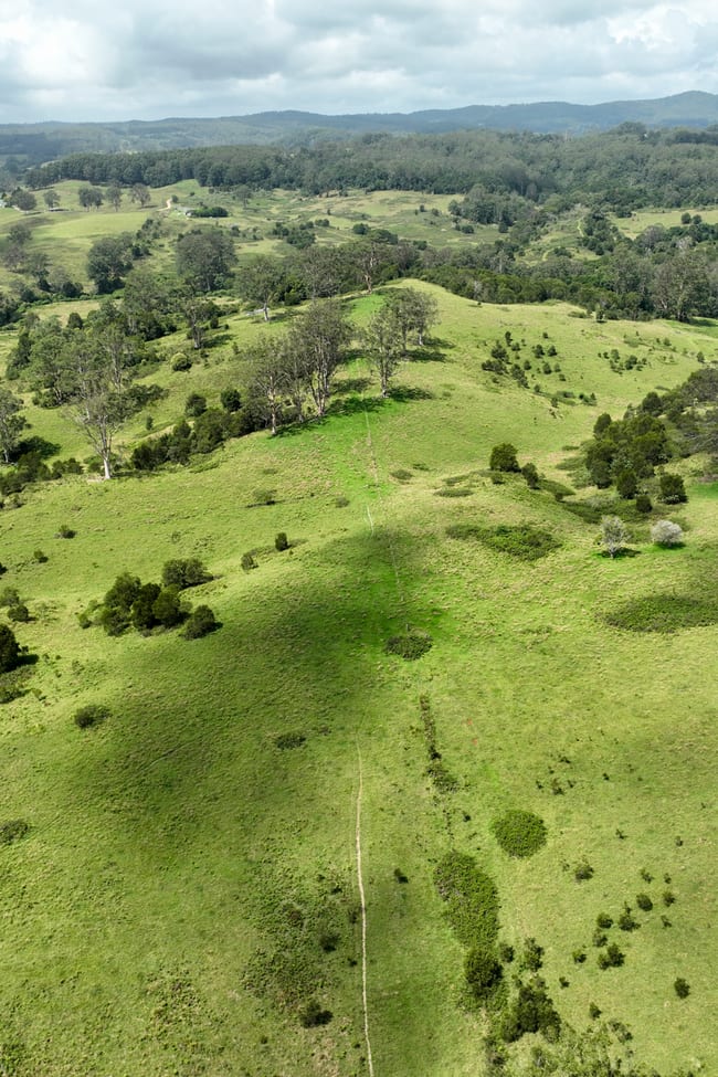 355 Doyles River Road Elands NSW 2429