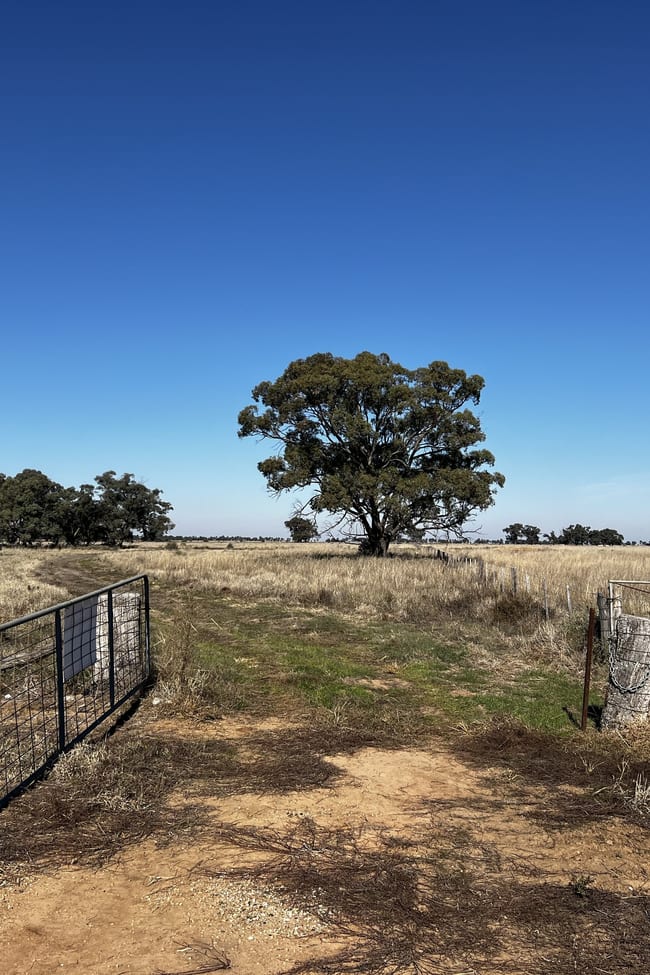 CA 8 Murray Valley Highway Torrumbarry VIC 3562