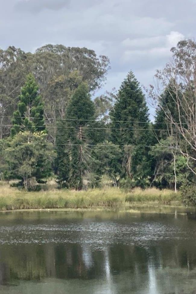 201 Old Wondai Road Charlestown QLD 4608