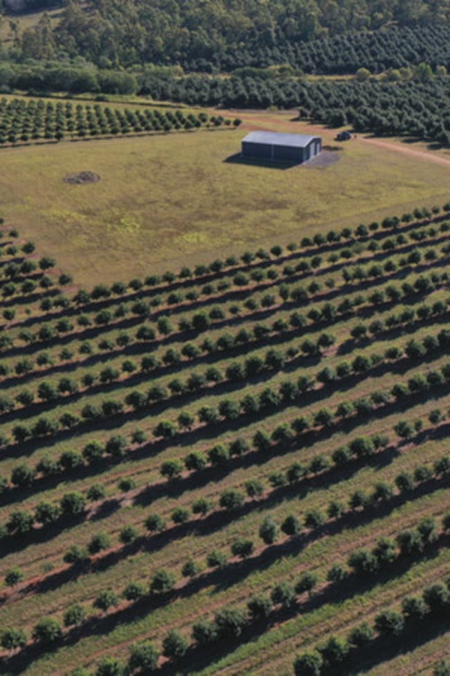 Skyring Reserve QLD 4671