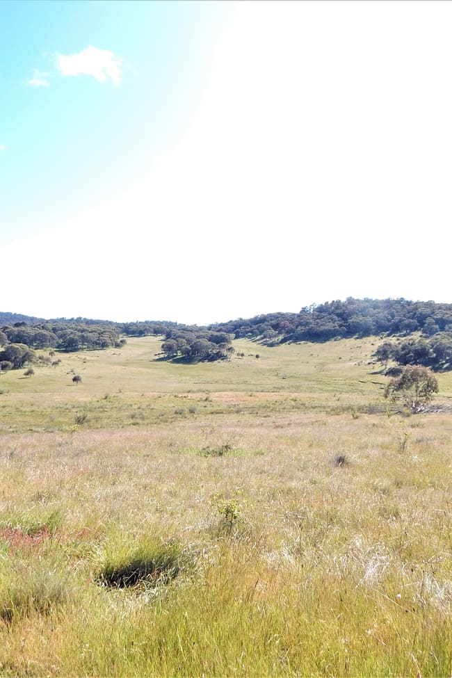 23 Bobeyan Road Shannons Flat NSW 2630