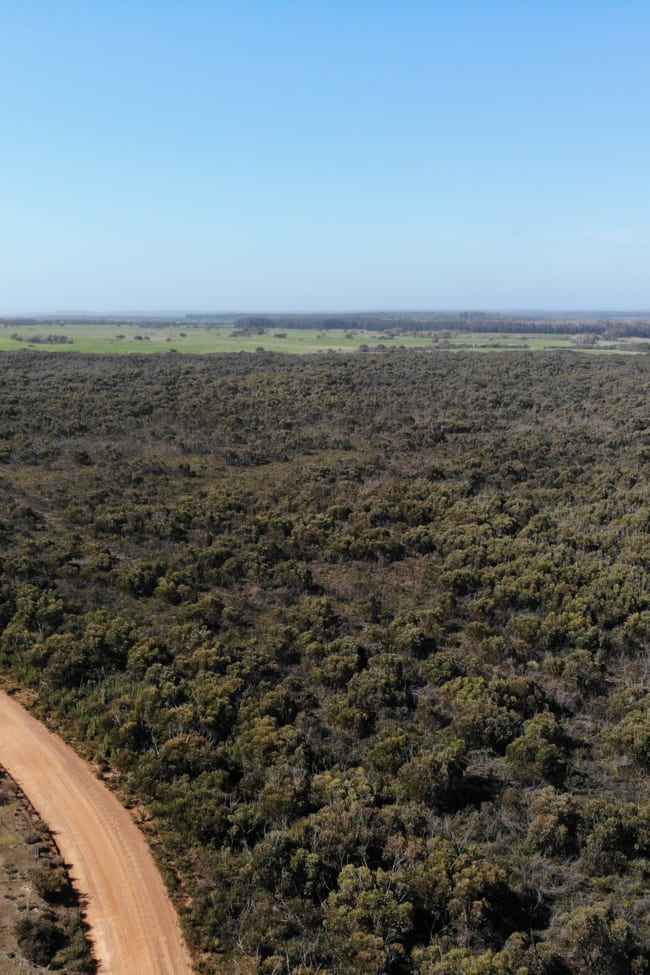105 Colmans Road Western River SA 5223