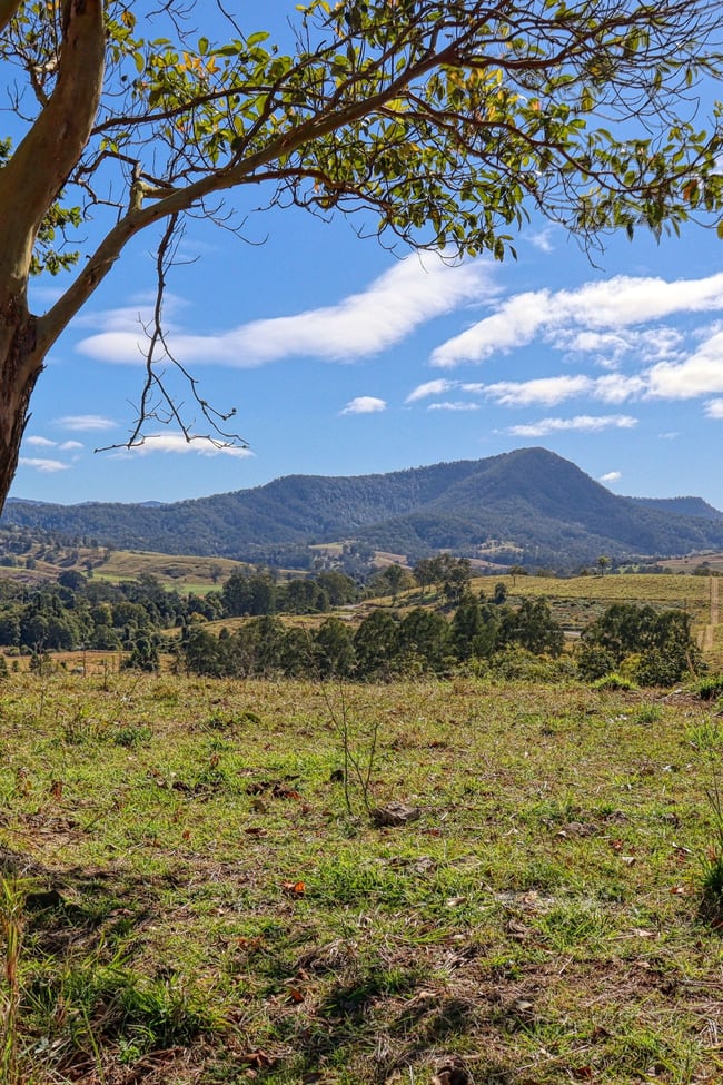 Lot 30, 46 Lynches Creek Road Wiangaree NSW 2474