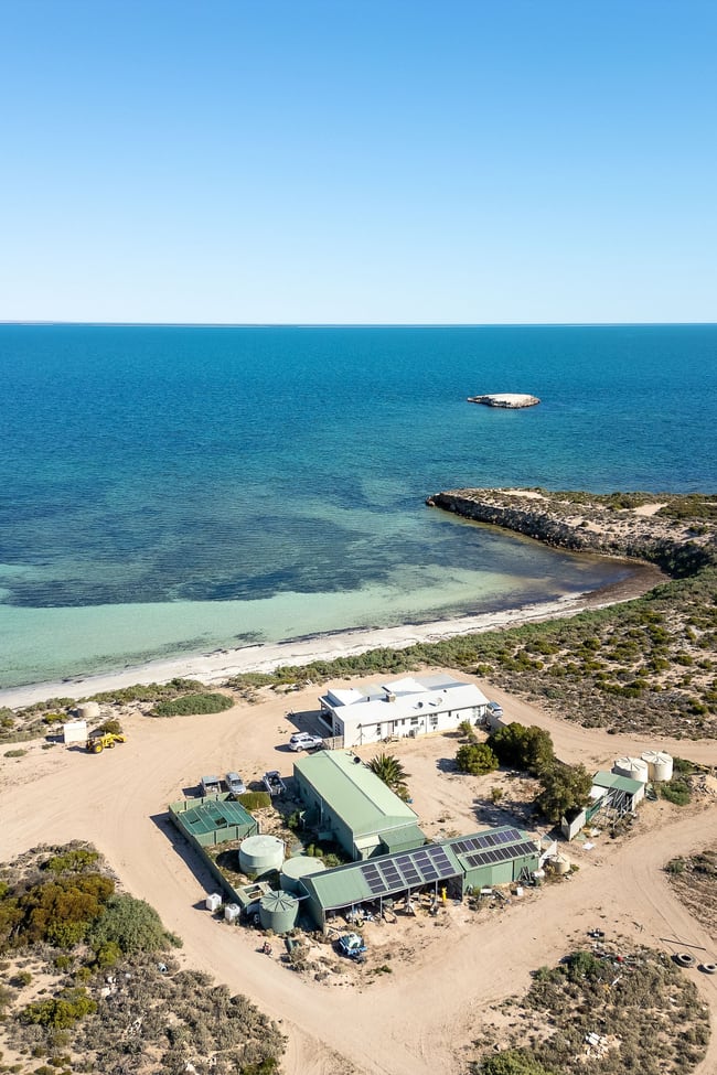 38031C Flinders Highway Laura Bay SA 5680