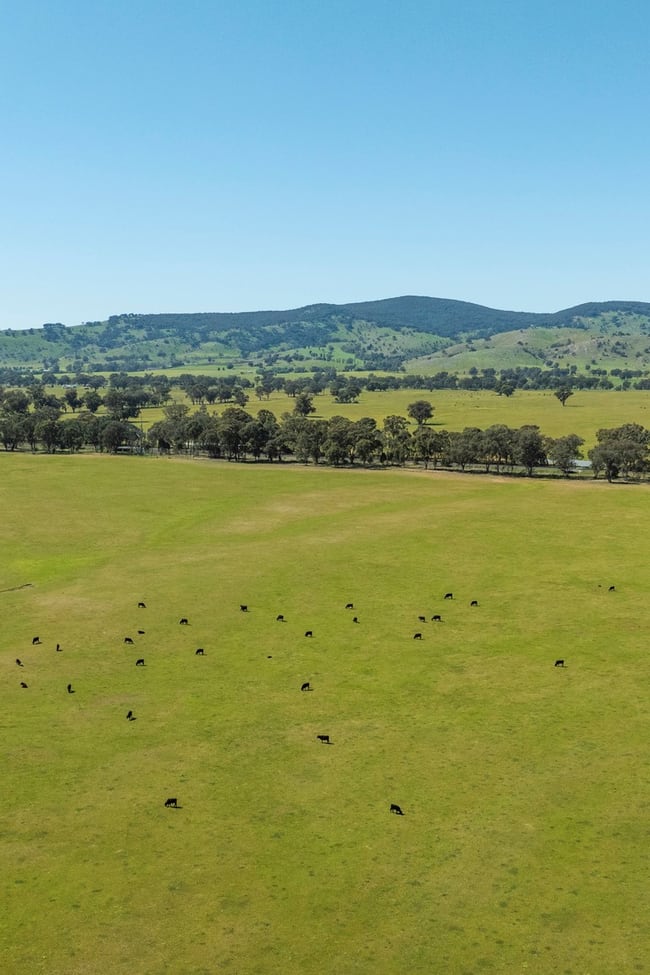 Mahers Road Violet Town VIC 3669