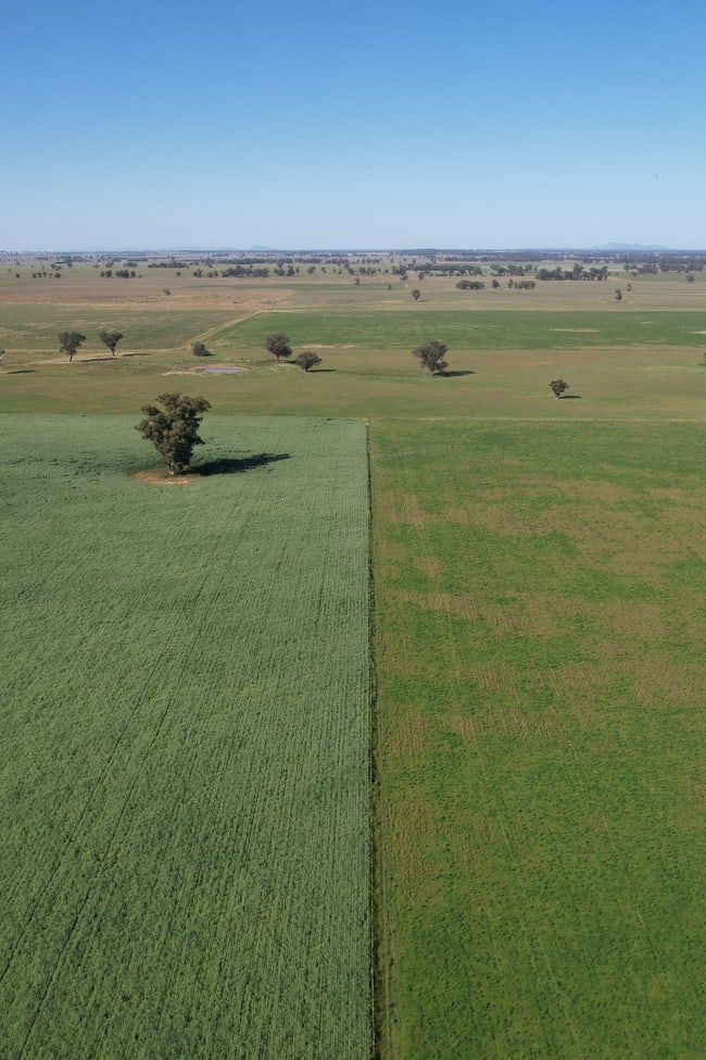 1715 The Bogan Way Forbes NSW 2871
