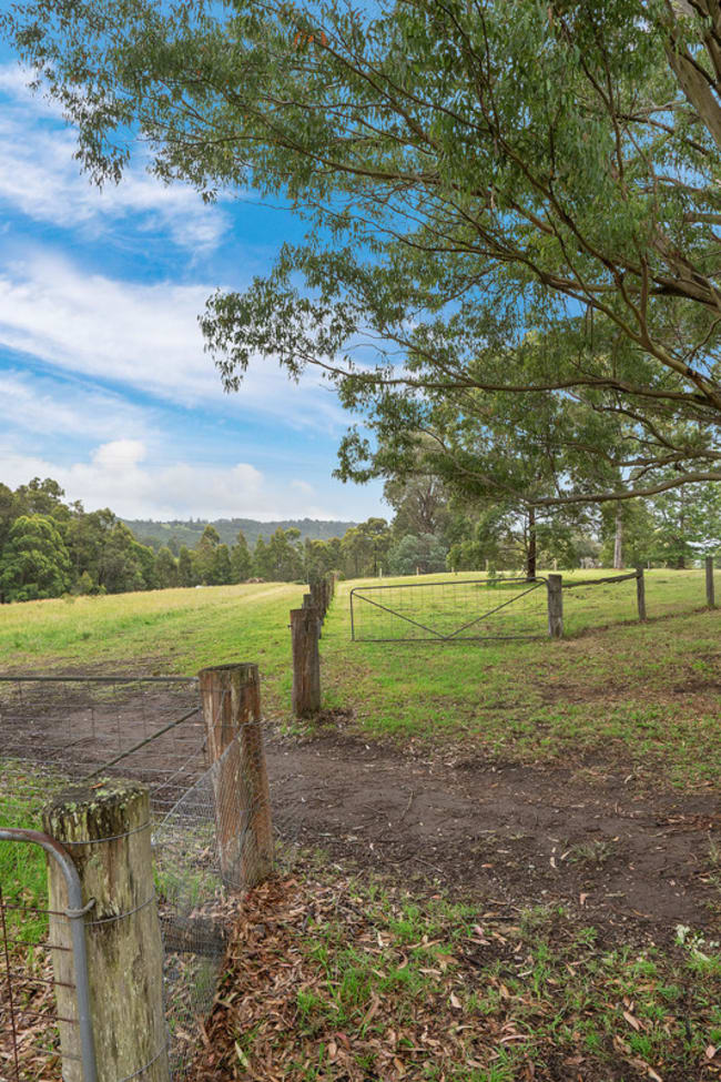 73 Rodney Road Mount Vincent NSW 2323
