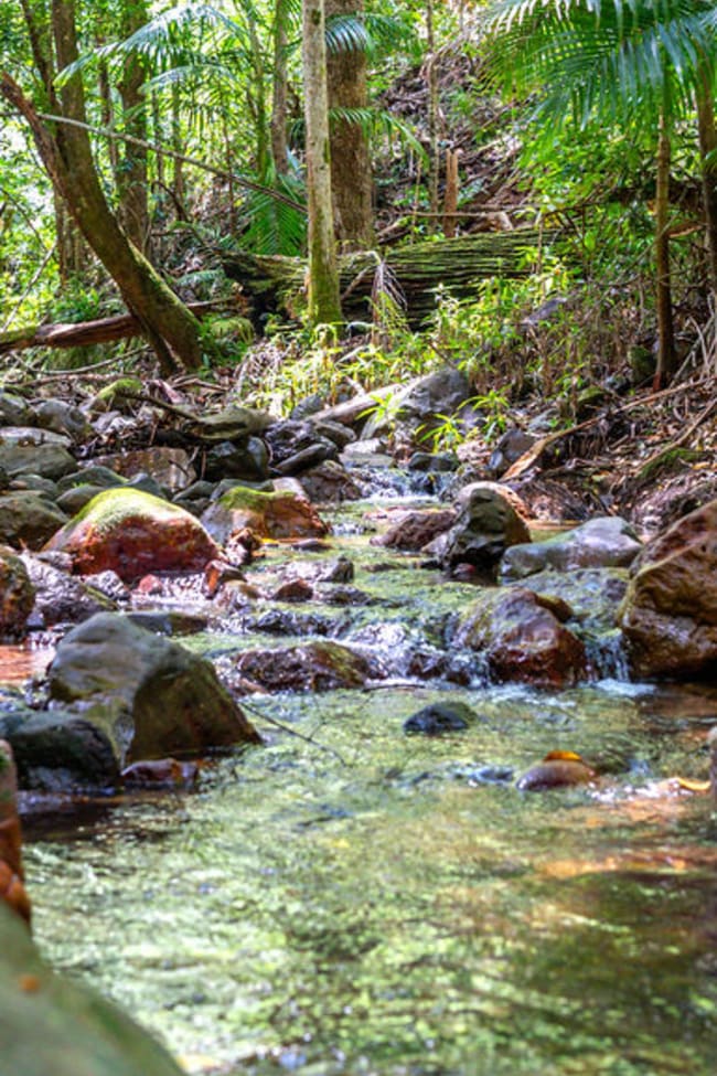 183 Killabakh Creek Road Killabakh NSW 2429 183 Killabakh Creek Road Killabakh NSW 2429