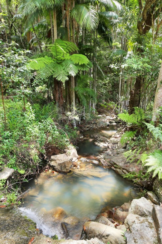 138 Araluen Road Tallebudgera Valley QLD 4228