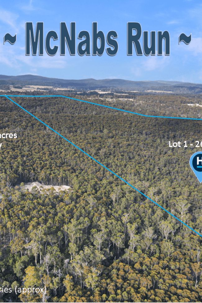 25851 Tasman Highway St Helens TAS 7216