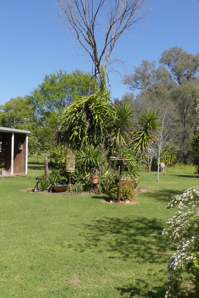343 Rifle Range Rd Warren NSW 2824