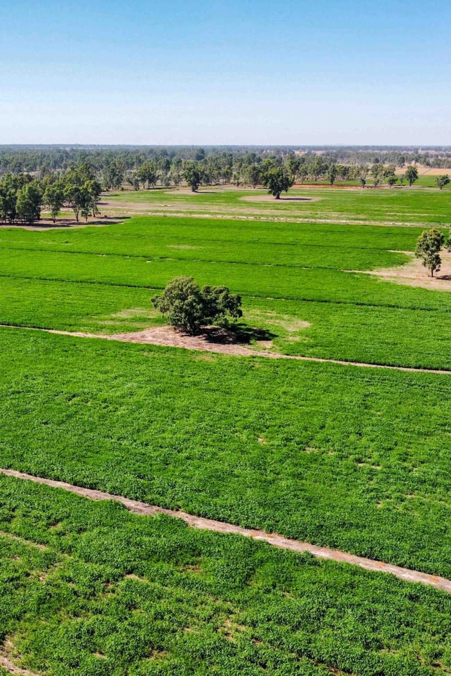 127 Orrs Road Gannawarra VIC 3568