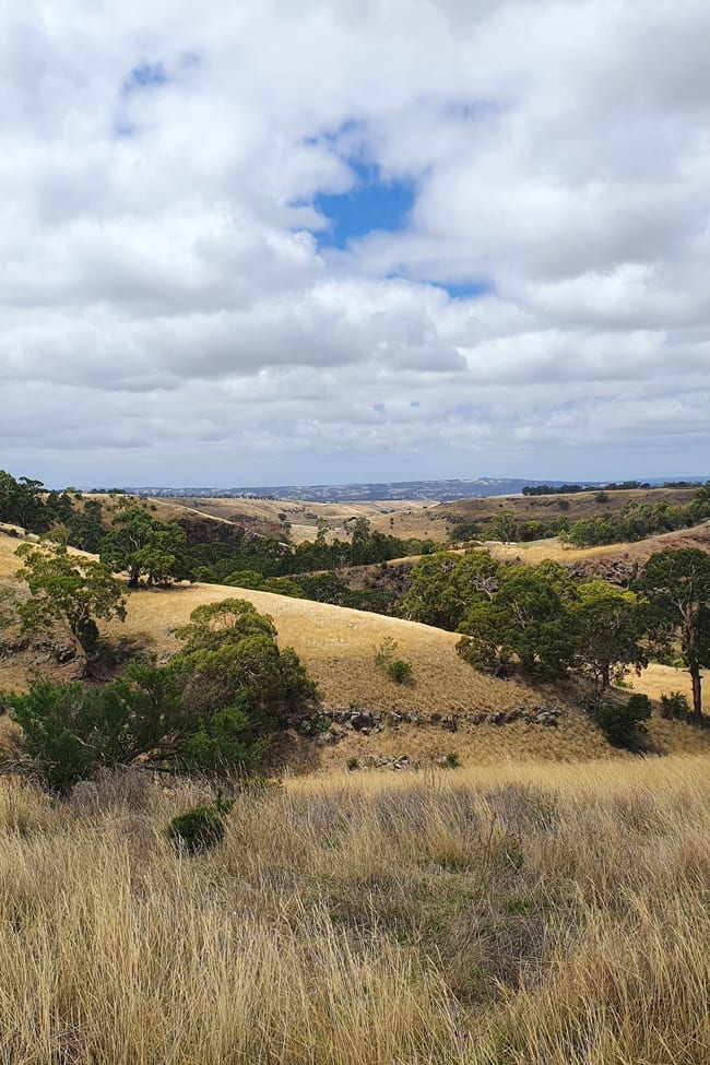Lot 5 Kennedys Lane Darraweit Guim VIC 3756