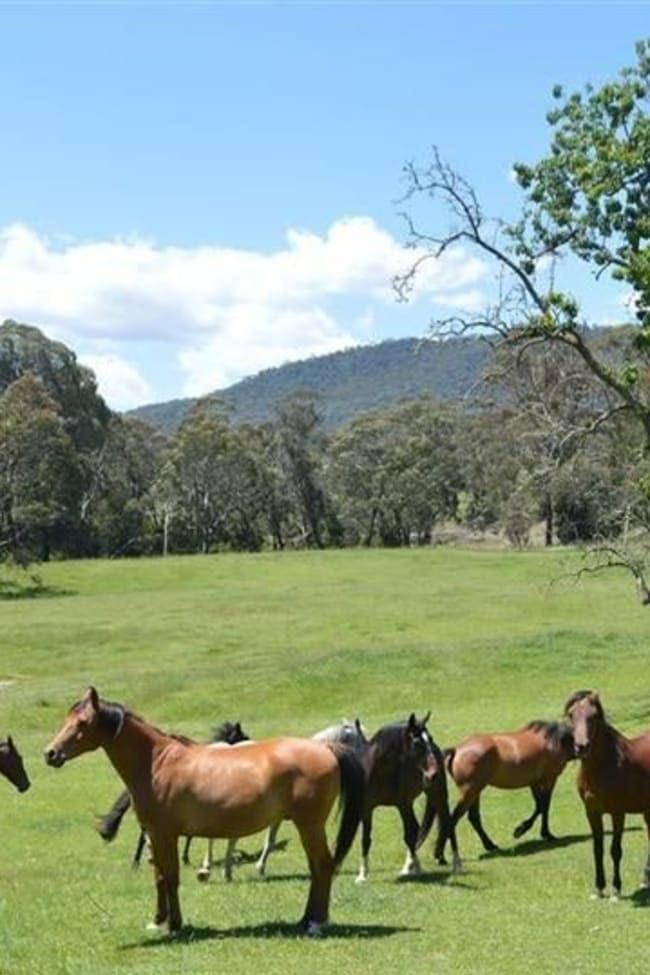 95 Bago Forest Road Tumbarumba NSW 2653