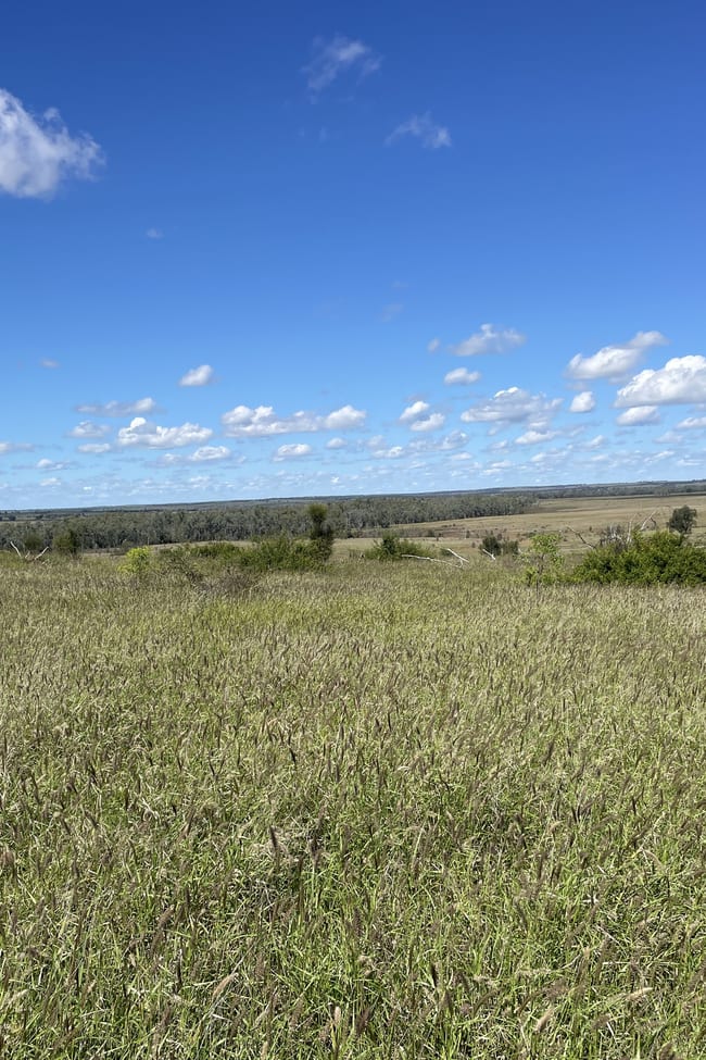 2344 The Bend Road Taroom QLD 4420 2344 The Bend Road Taroom QLD 4420