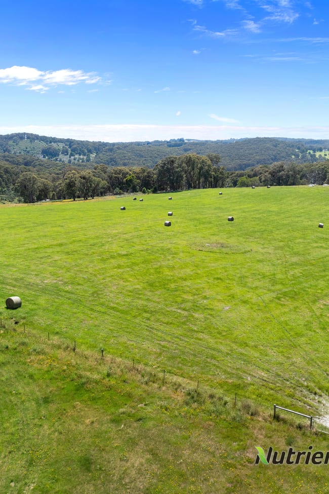 241 Chisholms Road Highlands VIC 3660