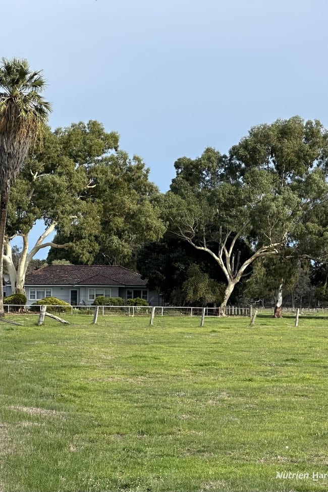 795 Boyanup-Picton Road Crooked Brook WA 6236 795 Boyanup-Picton Road Crooked Brook WA 6236