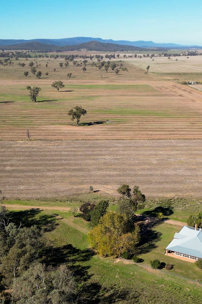 160 Gundong Road Tomingley NSW 2869
