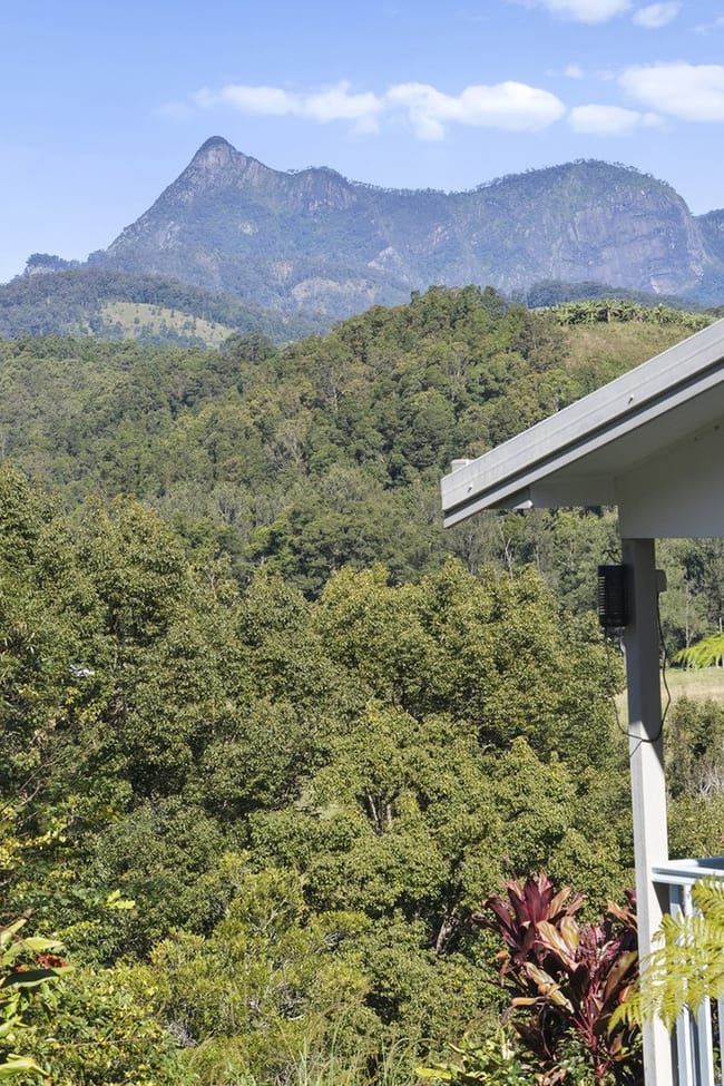 1678 Numinbah Road Numinbah NSW 2484