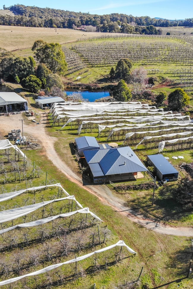 129 Cottams Road Batlow NSW 2730