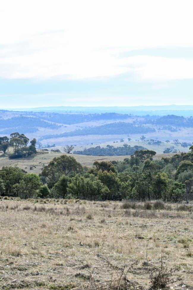 "The Big Hill" Matong Road Jimenbuen NSW 2628