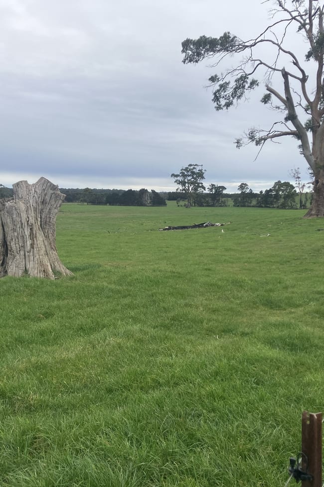 67 Myrtle Grove Road Wiltshire TAS 7321