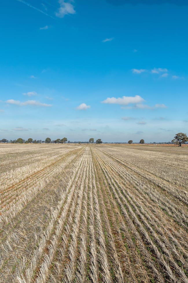 Christies Road Katunga VIC 3640