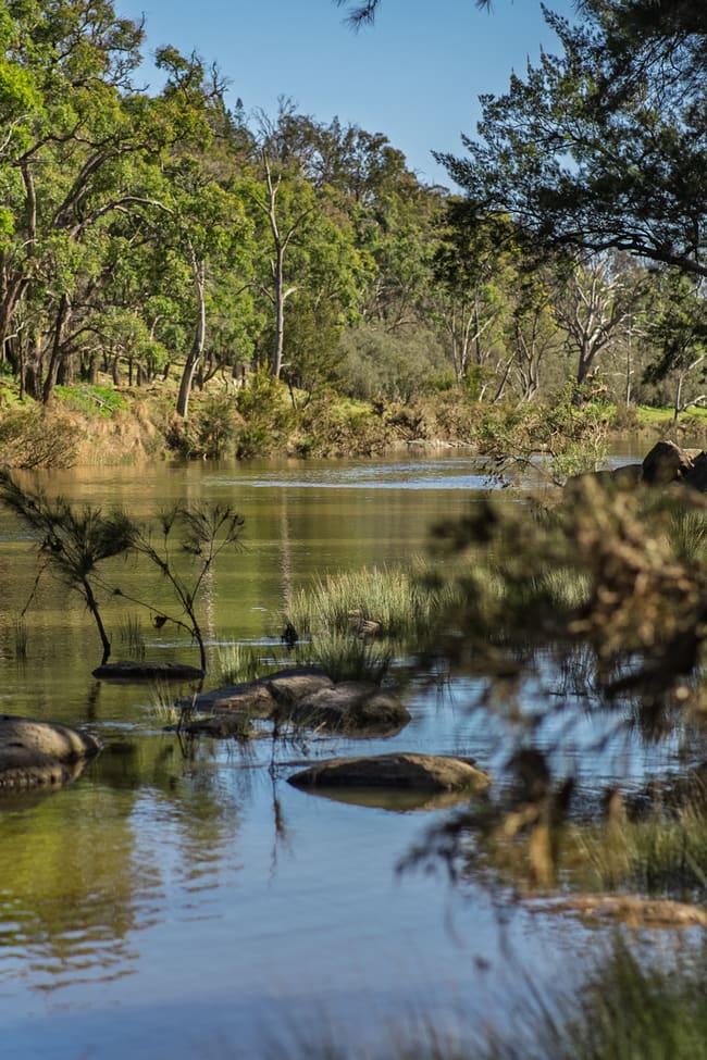 Rocky Glen Road Kingstown NSW 2358