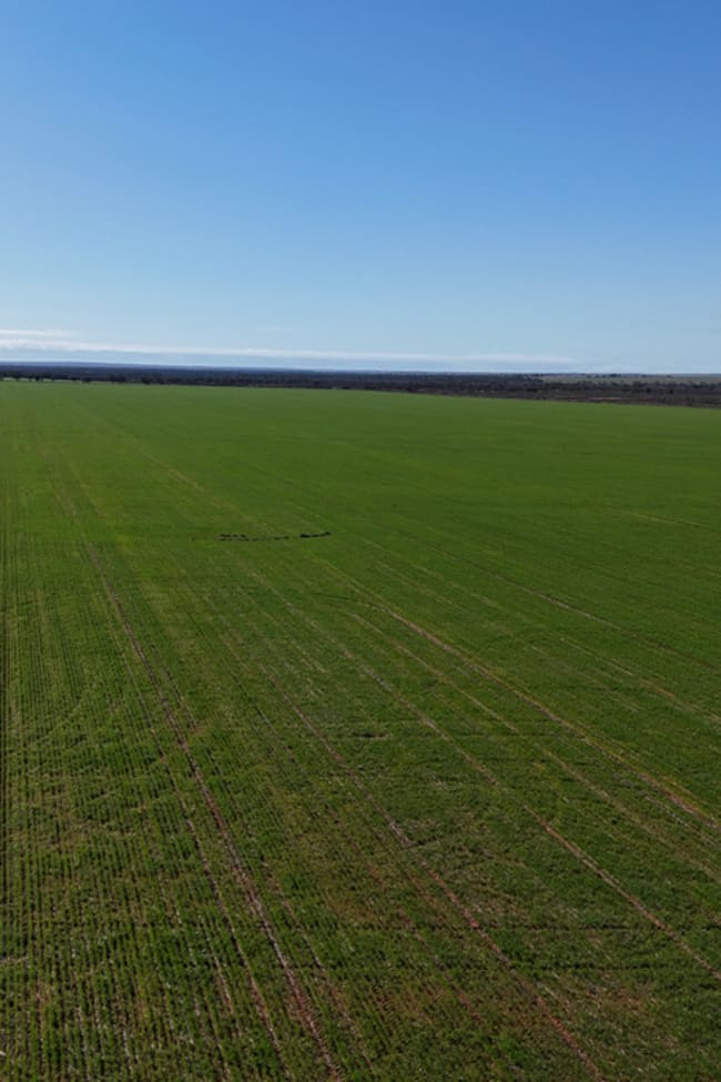 697 Solomon Road Perenjori WA 6620