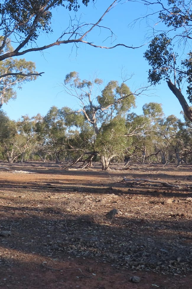 * MUD HUT Bourke NSW 2840