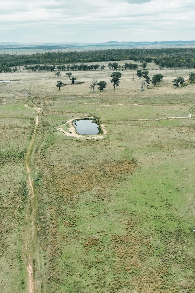 13999 Golden Hwy Dunedoo NSW 2844