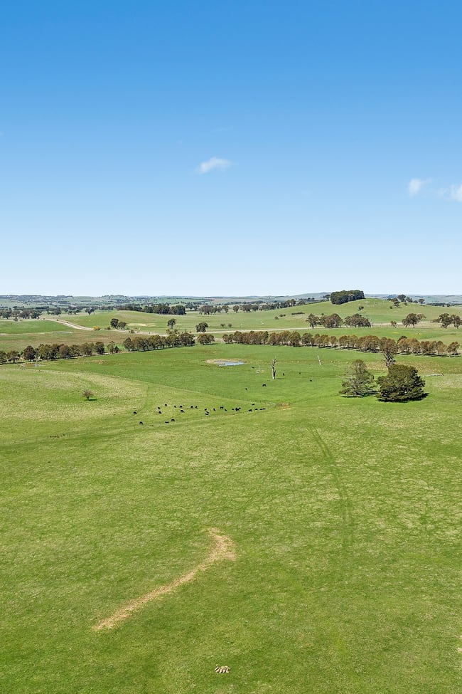 565 Nyes Gate Road Millthorpe NSW 2798