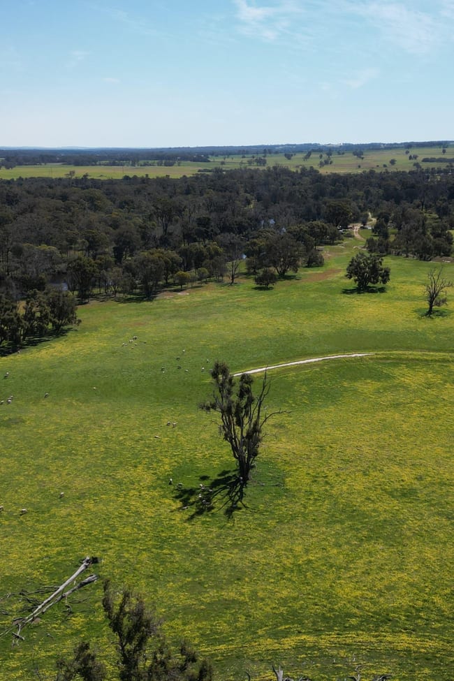 3206 Albany Highway Kenmare WA 6316