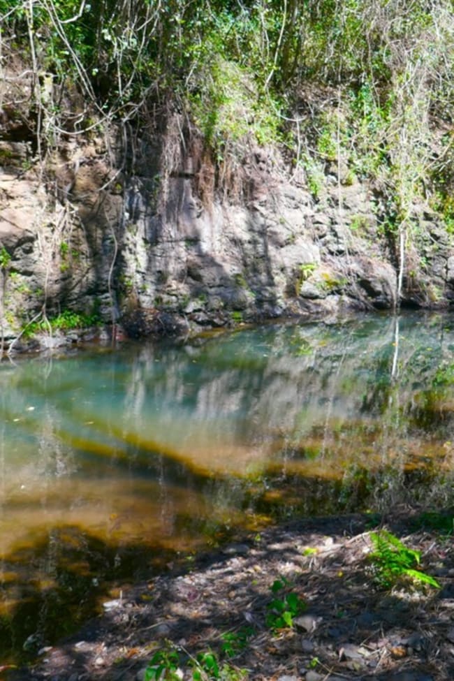 Lot 8 O'Donnell Creek Road Kyogle NSW 2474