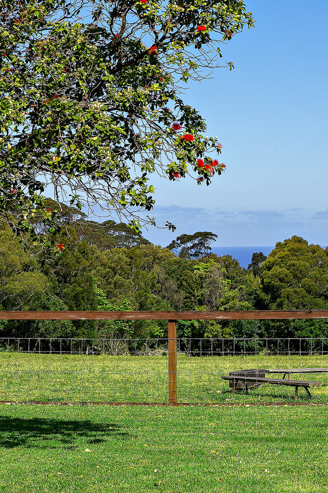 533 Foxground Road Foxground NSW 2534