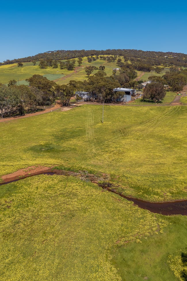 116 Bowers Road Coondle WA 6566